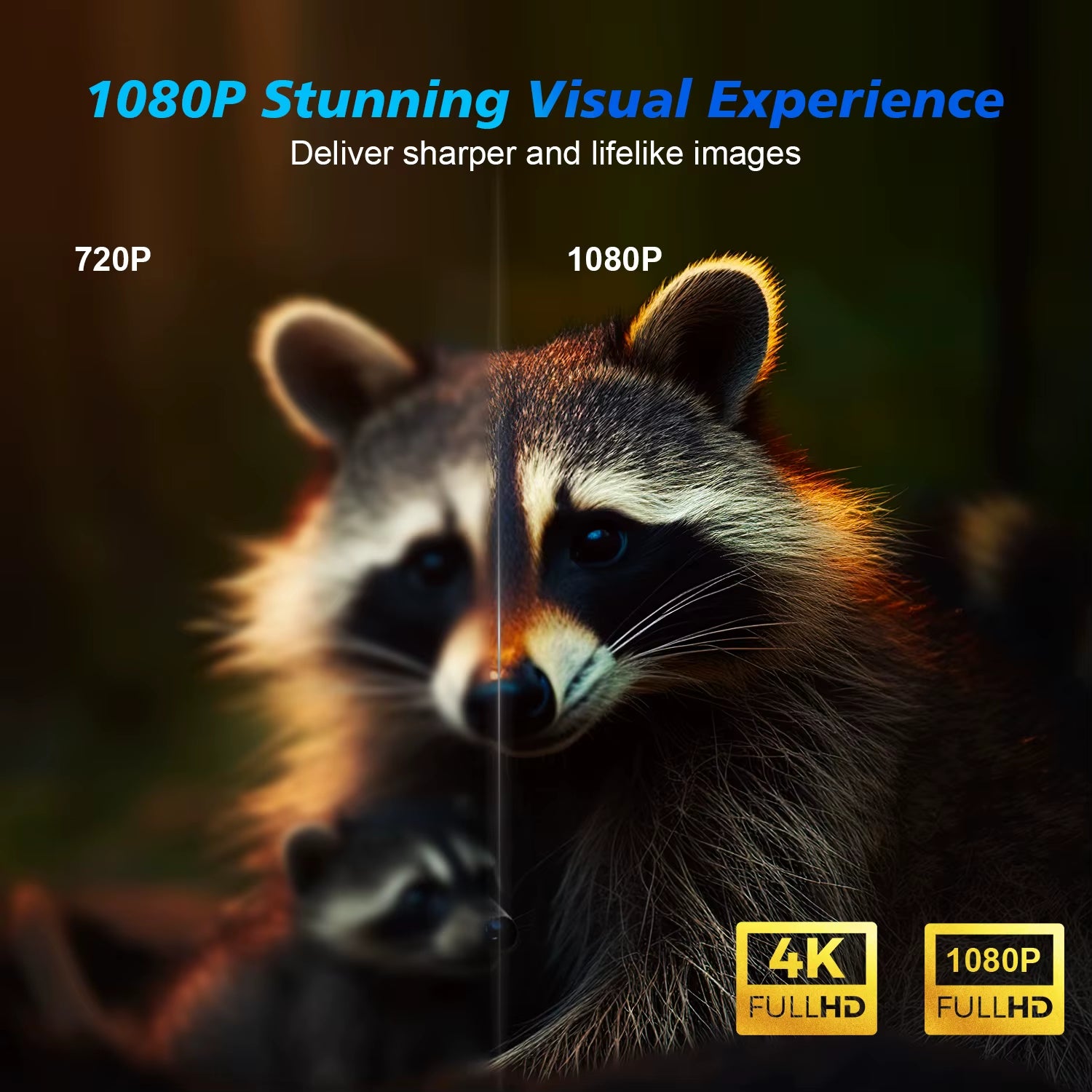 Cine Max 4K Android